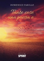 Tante cose una poesia e... Ebook di  Domenico Parillo