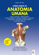 Corso breve di anatomia umana. Con QR code e video Libro di  Sabino De Bari