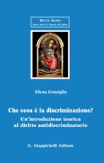 Che cosa è la discriminazione? Un'introduzione teorica al diritto antidiscriminatorio Ebook di  Elena Consiglio