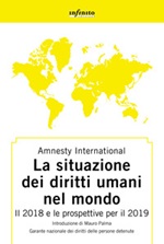 Amnesty International. Rapporto 2018-2019. La situazione dei diritti umani nel mondo. Il 2018 e le prospettive per il 2019 Libro di 