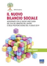 Il nuovo bilancio sociale. Aggiornato con le nuove linee guida del d.m. del ministro del lavoro e delle politiche sociali del 4 luglio 2019 Libro di 
