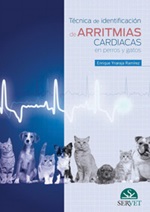 Técnica de identificación de arritmias cardiacas en perros y gatos Ebook di  Enrique Ynaraja Ramírez