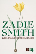 Questa strana e incontenibile stagione Ebook di  Zadie Smith