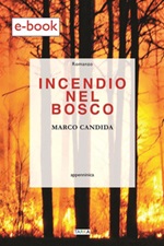 Incendio nel bosco Ebook di  Marco Candida, Marco Candida